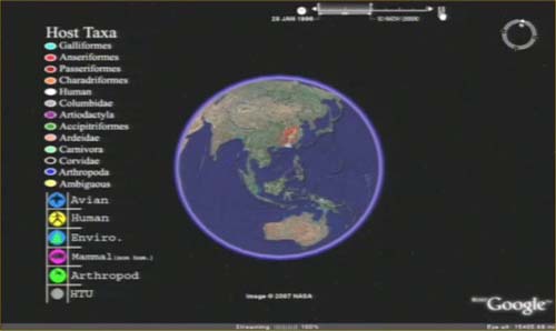 (Los científicos han usado el programa Google Earth para representar las mutaciones del virus de la gripe aviar.) (Foto: Ohio State University)