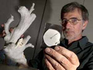 (Ron Thresher muestra fragmentos de coral usados en el estudio.) (Foto: CSIRO)