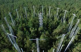 (El experimento FACE liberó CO2 desde torres con válvulas controladas por ordenador.) (Foto: Chris Hildreth)