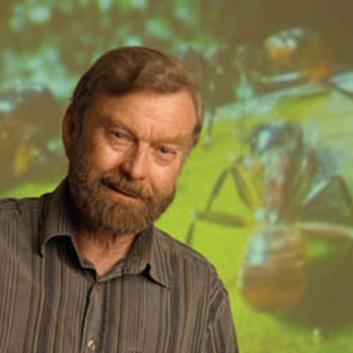(Bert Holldobler.) (Foto: ASU)