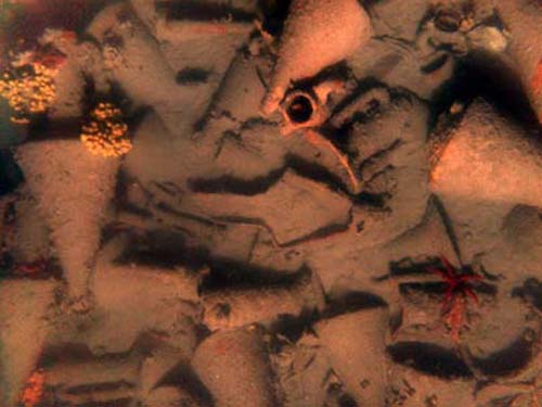 (Anforas en el fondo del mar Egeo.) (Foto:  / Chios Shipwreck Survey 2005 - WHOI, EUA,  