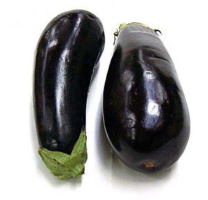 (Las plantas de otros planetas podrían ser negras.) (Foto: WUSTL)